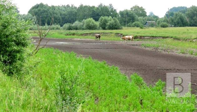 На Чернігівщині пересохла частина річки, що впадає у Десну. ФОТО