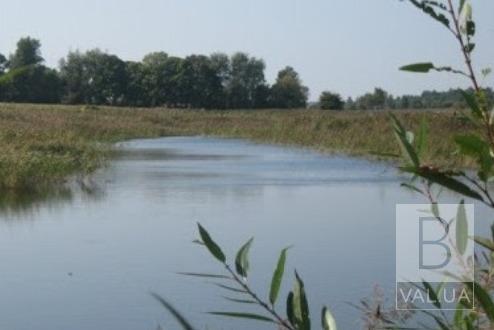 В Голубичах в местном пруду утонул 19-летний юноша