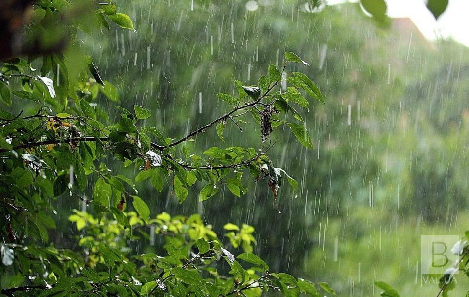 Завтра на Чернігівщині прогнозують сильні дощі