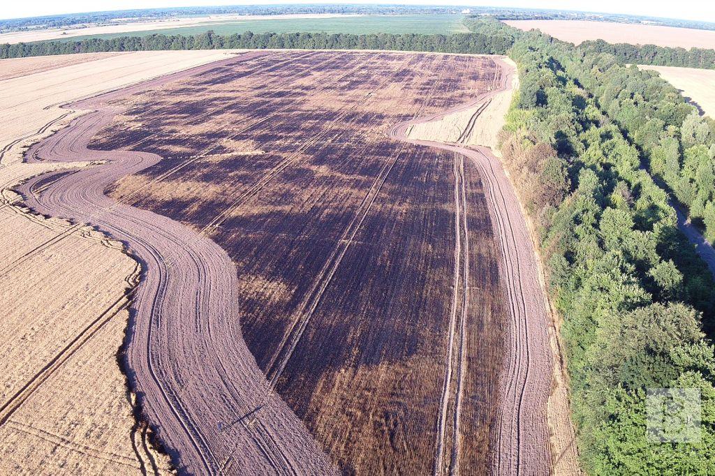 На Борзнянщине подожгли три поля: уничтожено более 23 гектаров посевов. ФОТО