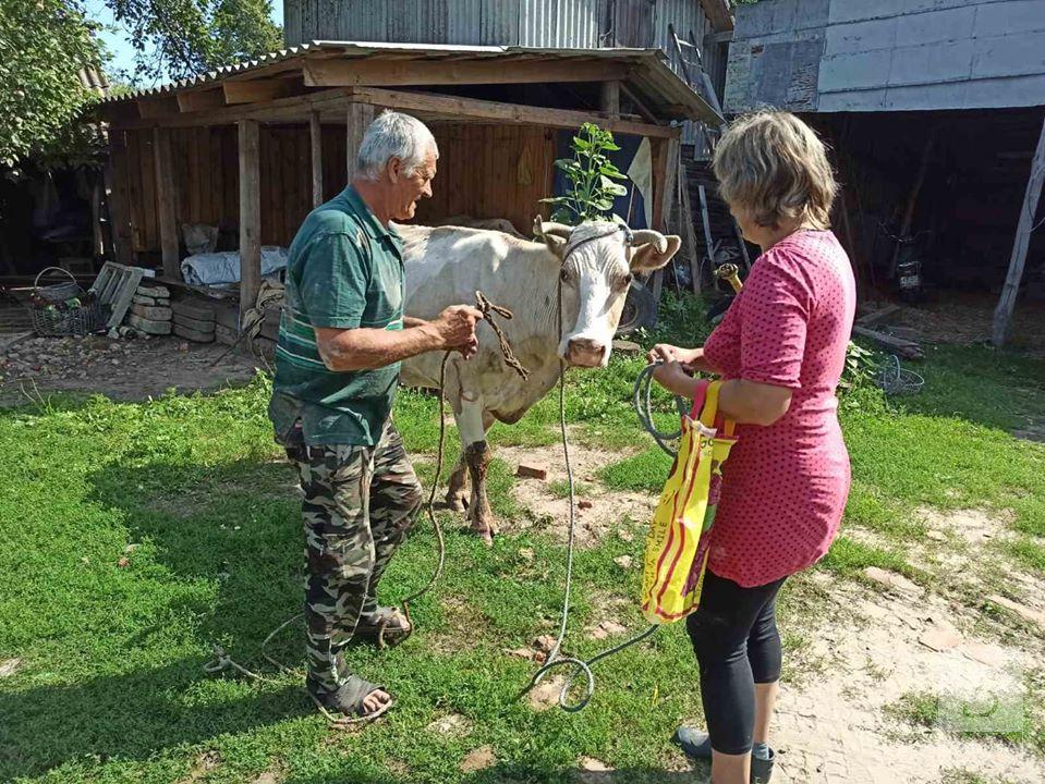 На Черниговщине спасатели достали корову из погреба