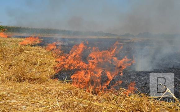 На территории Козелецкого района сгорело 10 га стерни