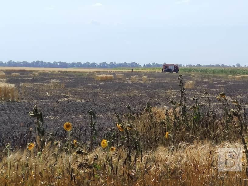 У Прилуцькому районі підпалили пшеничне поле: згоріли шість гектарів. ФОТО