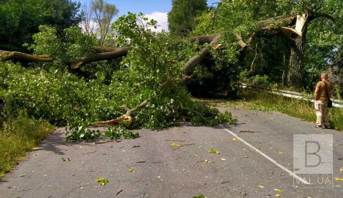 На Чернігівщині дорожники ліквідовували наслідки «деревопаду». ФОТО