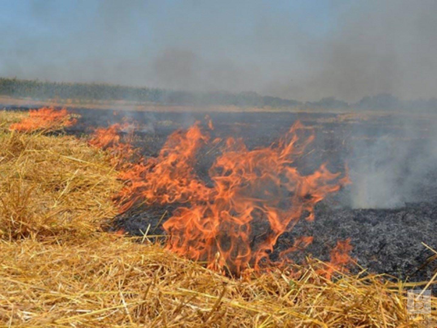 В Сновском районе выгорело 6,5 гектаров стерни