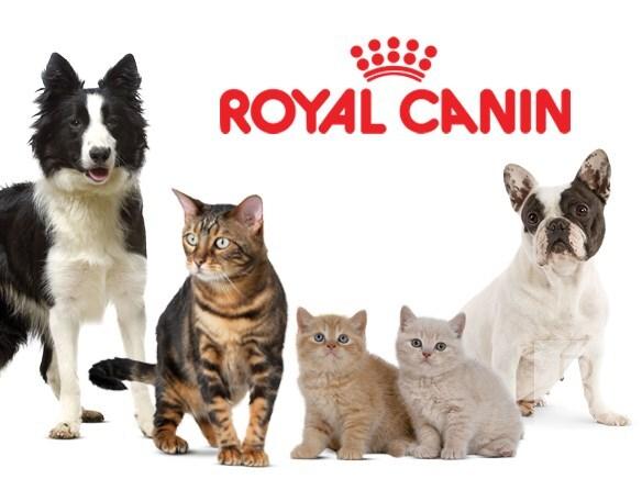 Почему покупатели выбирают корм Royal Canin?
