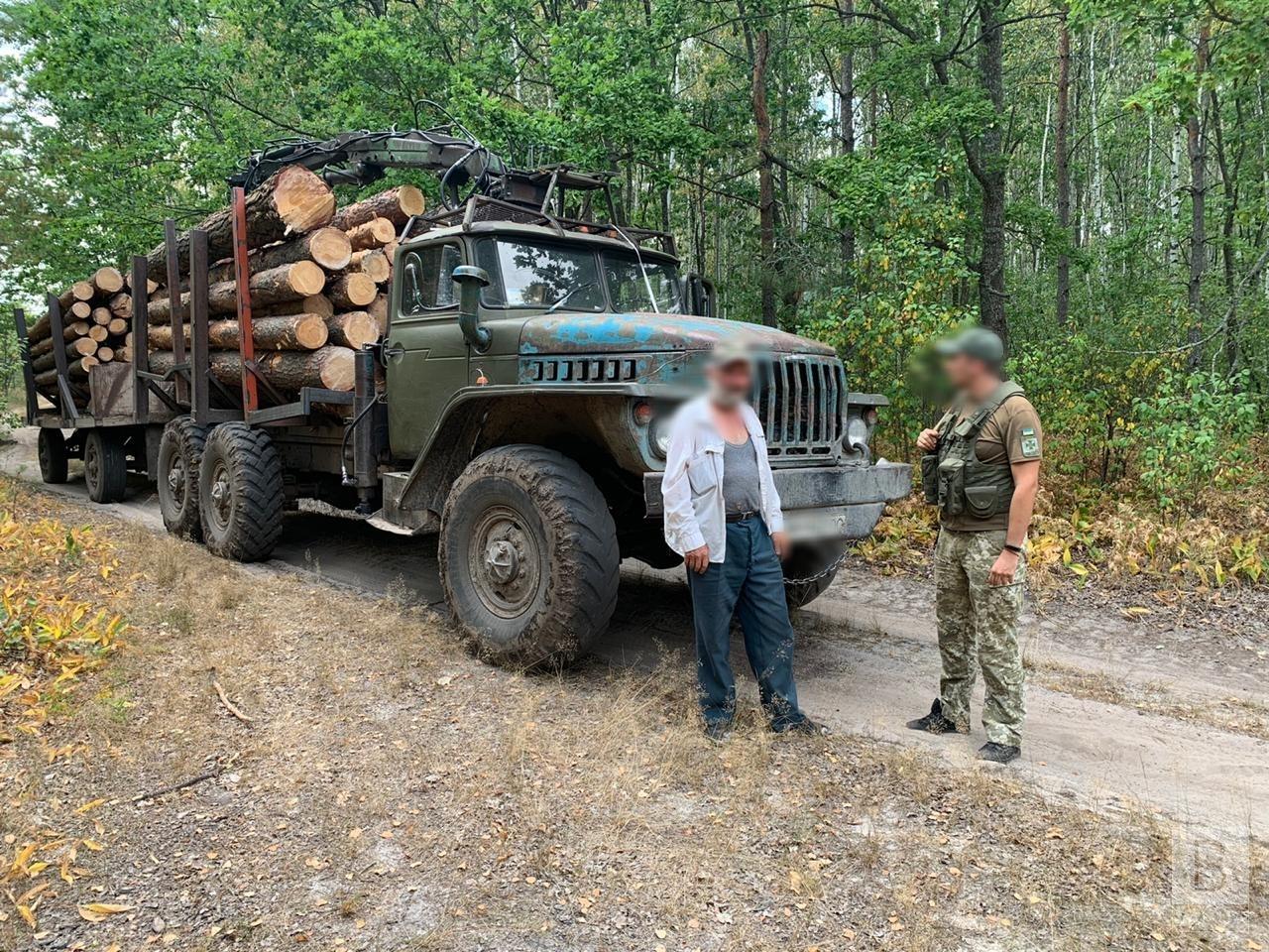 Чернігівські прикордонники затримали вантажівку з незаконним лісом