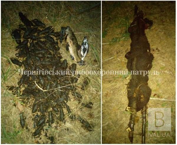 У Чернігівському районі браконьєр наловив раків майже на три тисячі гривень
