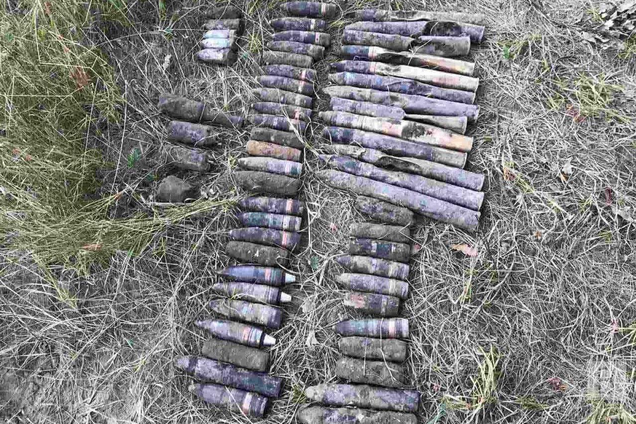 У лісосмузі біля села Ладинка знайшли 54 боєприпаси. ФОТО