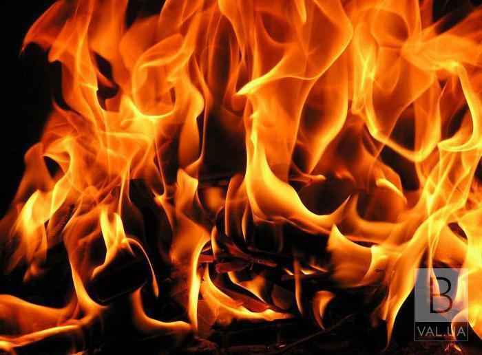 У селі на Чернігівщині в пожежі загинули дорослий та дворічна дитина