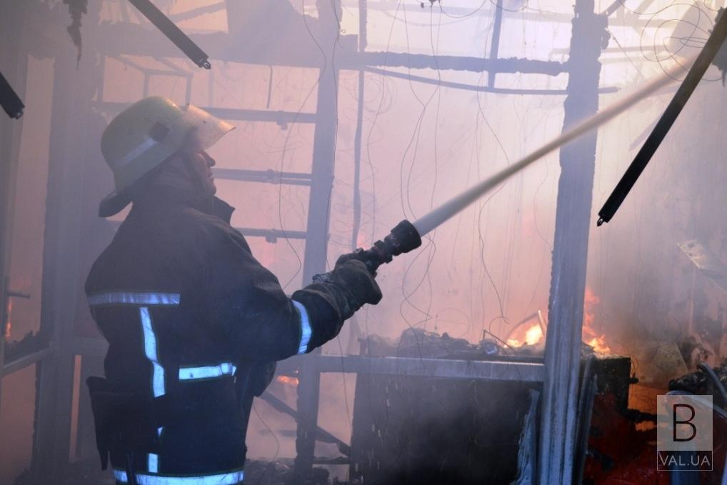 У Бобровицькому районі під час пожежі загинула 92-річна жінка