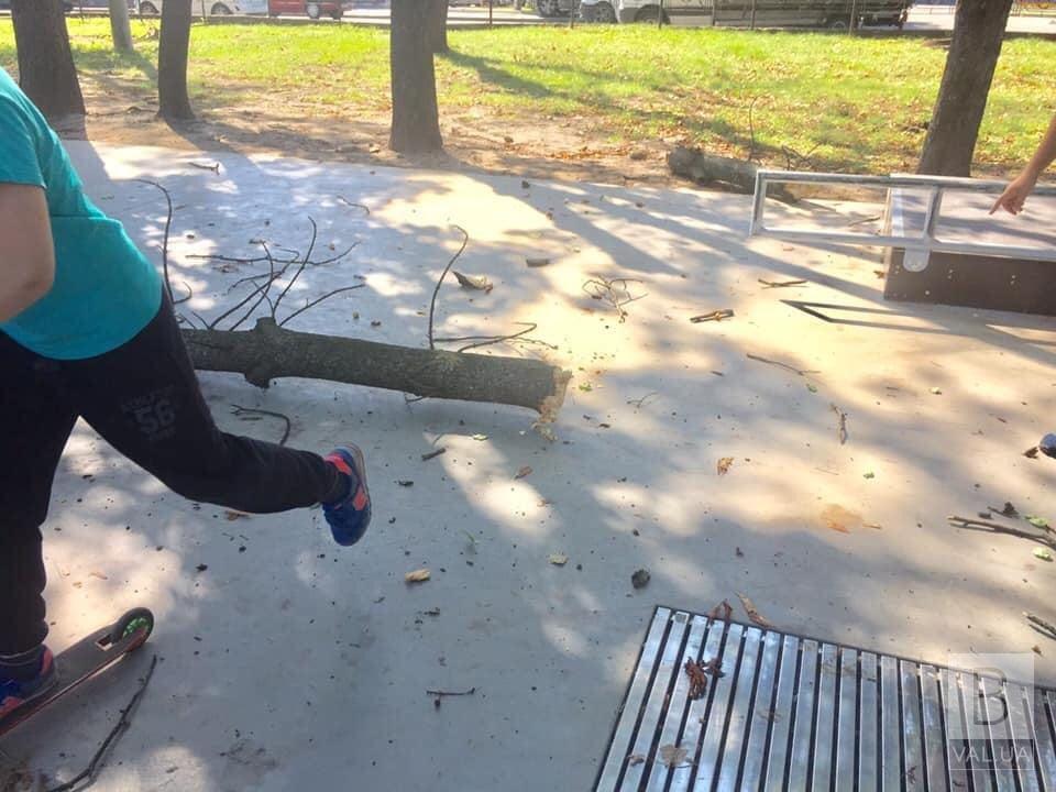 У чернігівському скейт-парку велика гілка ледь не покалічила дітей. ФОТОфакт