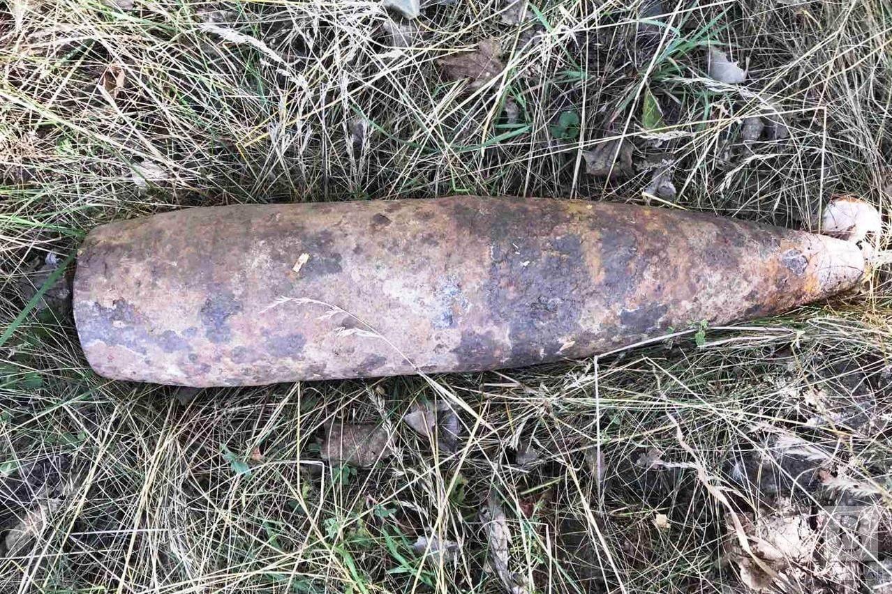На Чернігівщині грибники натрапили на артилерійський снаряд Другої світової. ФОТО