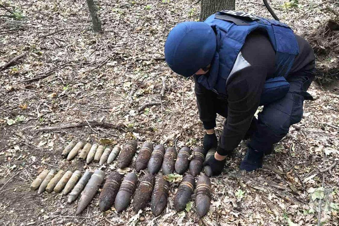 Знайшли грибники: на Чернігівщині піротехніки знищили 27 боєприпасів часів Другої світової. ФОТО