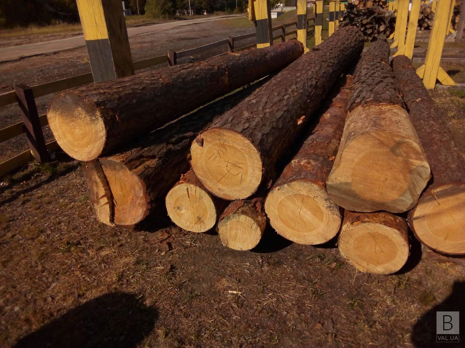 На Чернігівщині спіймали батька та сина, які крали деревину для власної пилорами. ФОТО