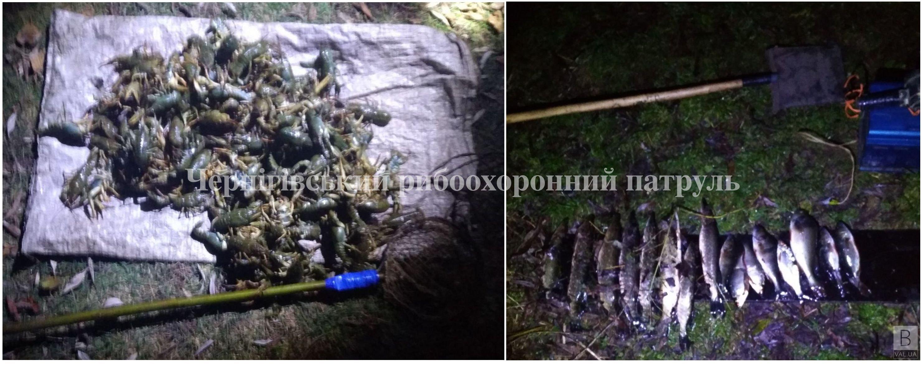 На Чернігівщині викрили браконьєра, який наловив раків майже в п'ять разів більше, ніж дозволено
