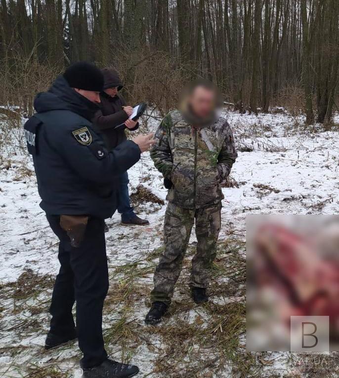 У лісі на Чернігівщині затримали киянина, який вбив червонокнижну лосиху. ФОТО