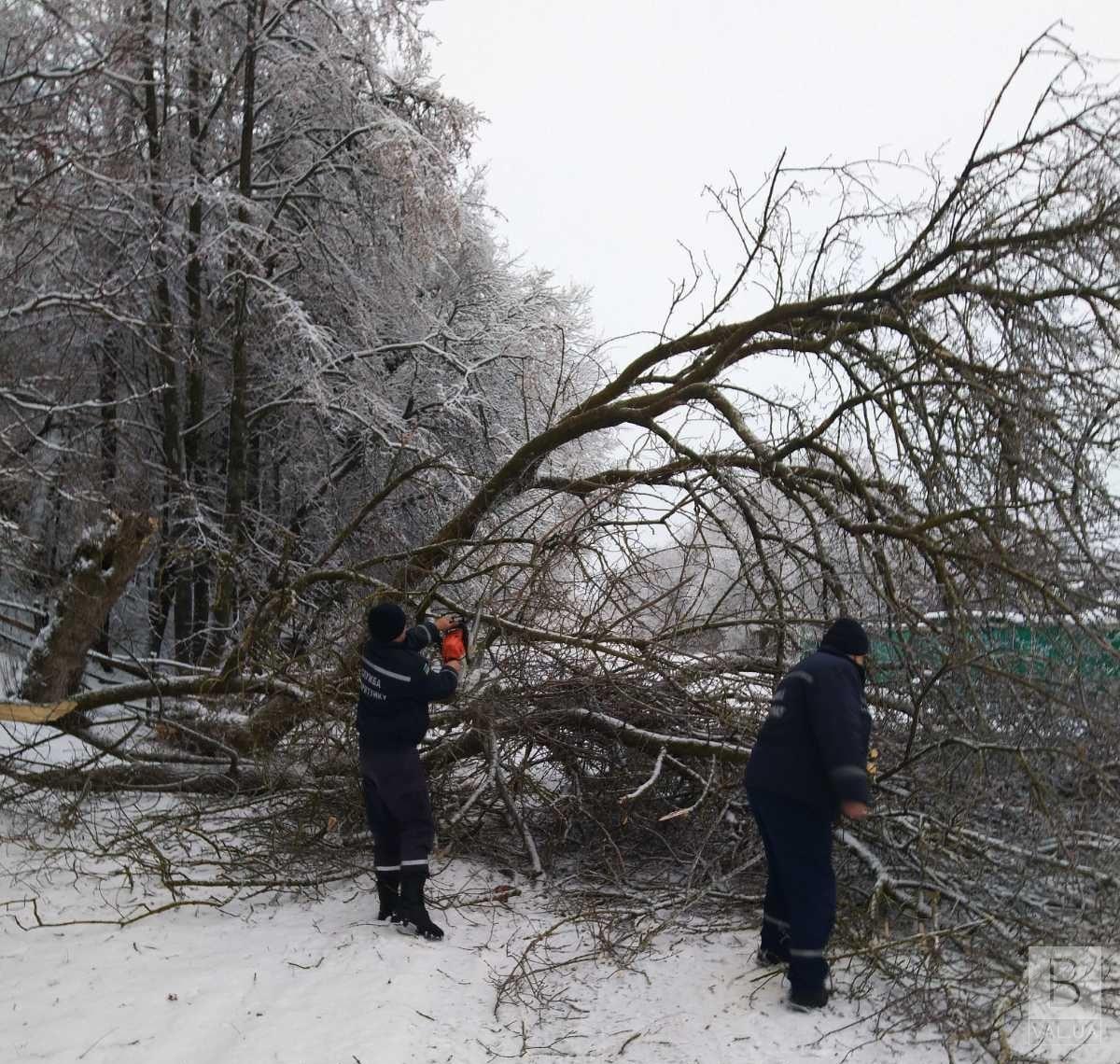 На Чернігівщині повалені дерева заблокували проїзд шкільному автобусу. ФОТО