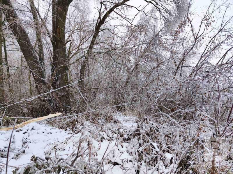 Внаслідок крижаного дощу без світла досі залишаються 107 населених пунктів на Чернігівщині
