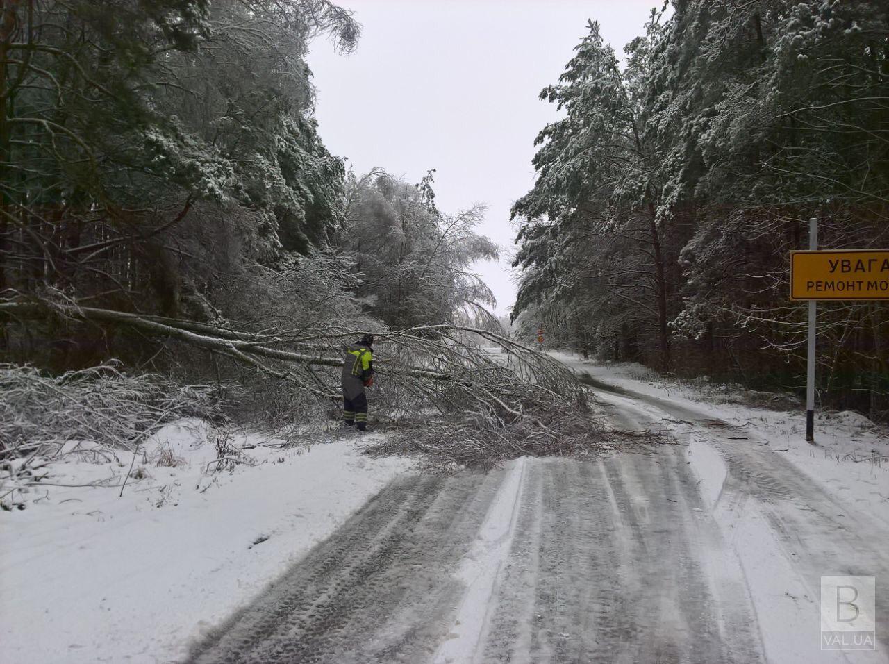 На Чернігівщині негода повалила на дороги понад 200 дерев