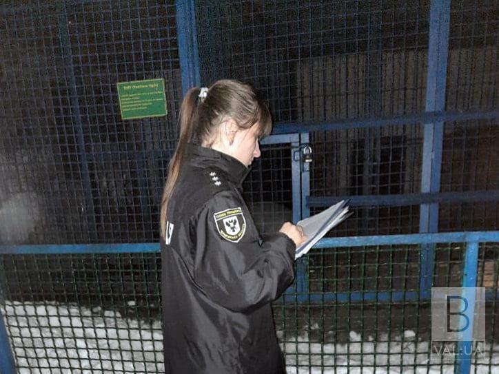  Збирався годувати: на Чернігівщині у зоопарку тигр насмерть загриз працівника