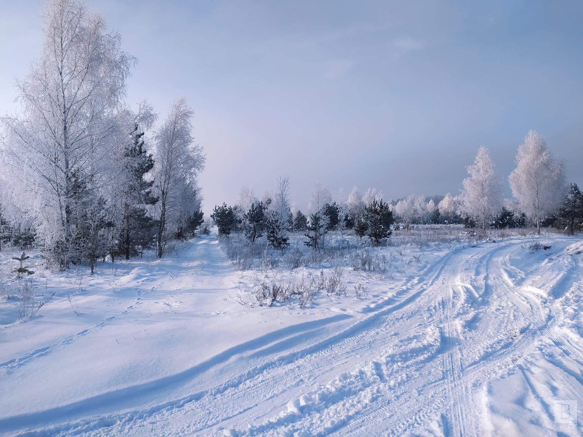 Справжня зима: на Чернігівщині зафіксували майже 23 градуси морозу