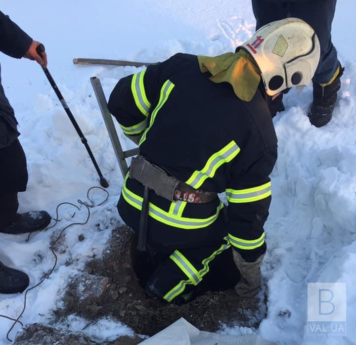 У Варві рятувальники дістали собаку з каналізаційної шахти ВІДЕО