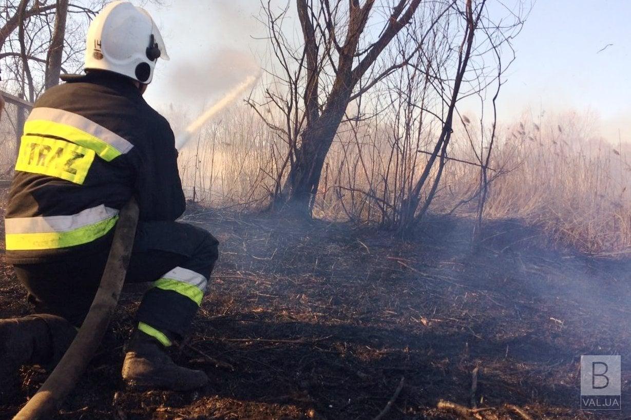 На Чернігівщині вже почалися пожежі у природних екосистемах
