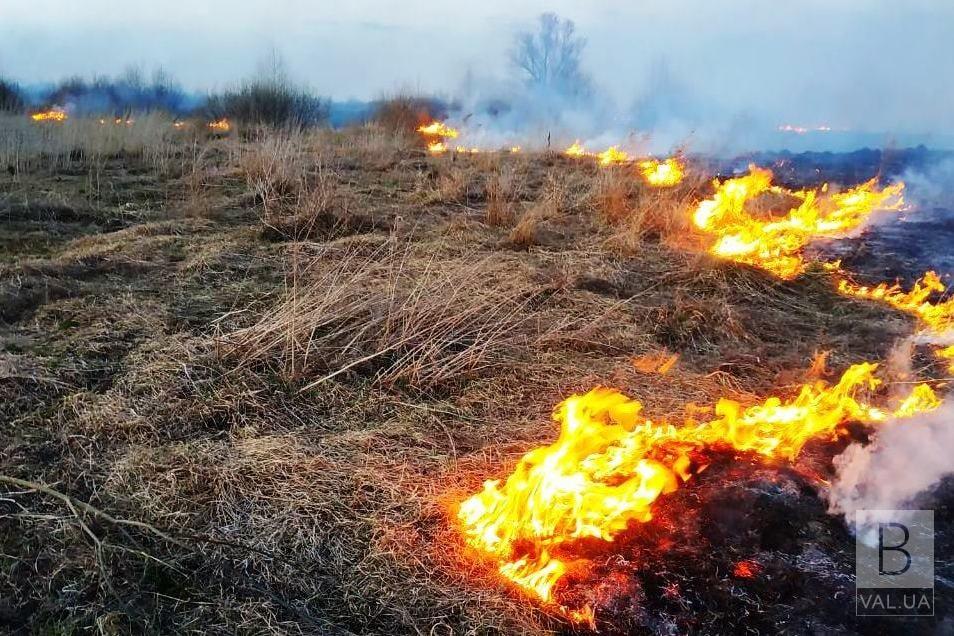 На Чернігівщині літня жінка загинула через спалювання трави