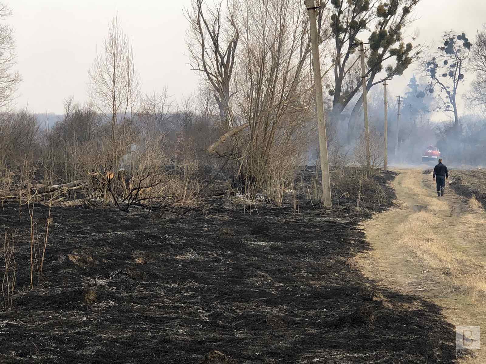 «Гарячі» вихідні на Чернігівщині: у ДСНС зафіксували 82 пожежі