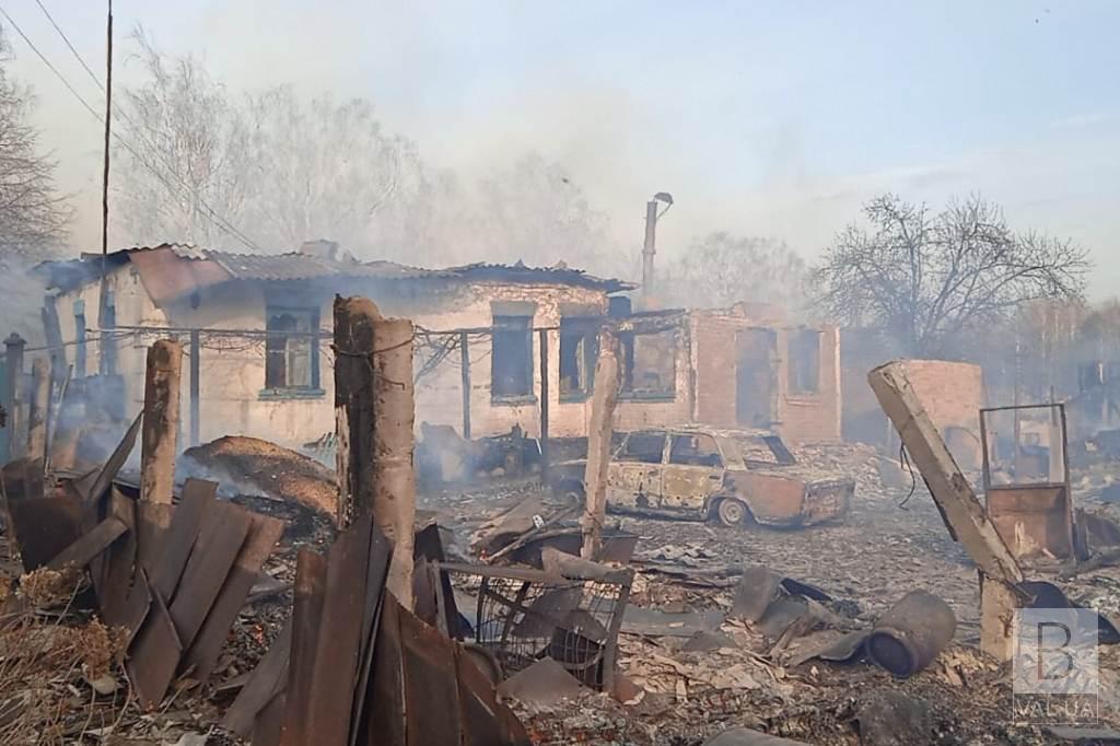  На Чернігівщині через спалювання сухої рослинності сталося 37 пожеж. ФОТО