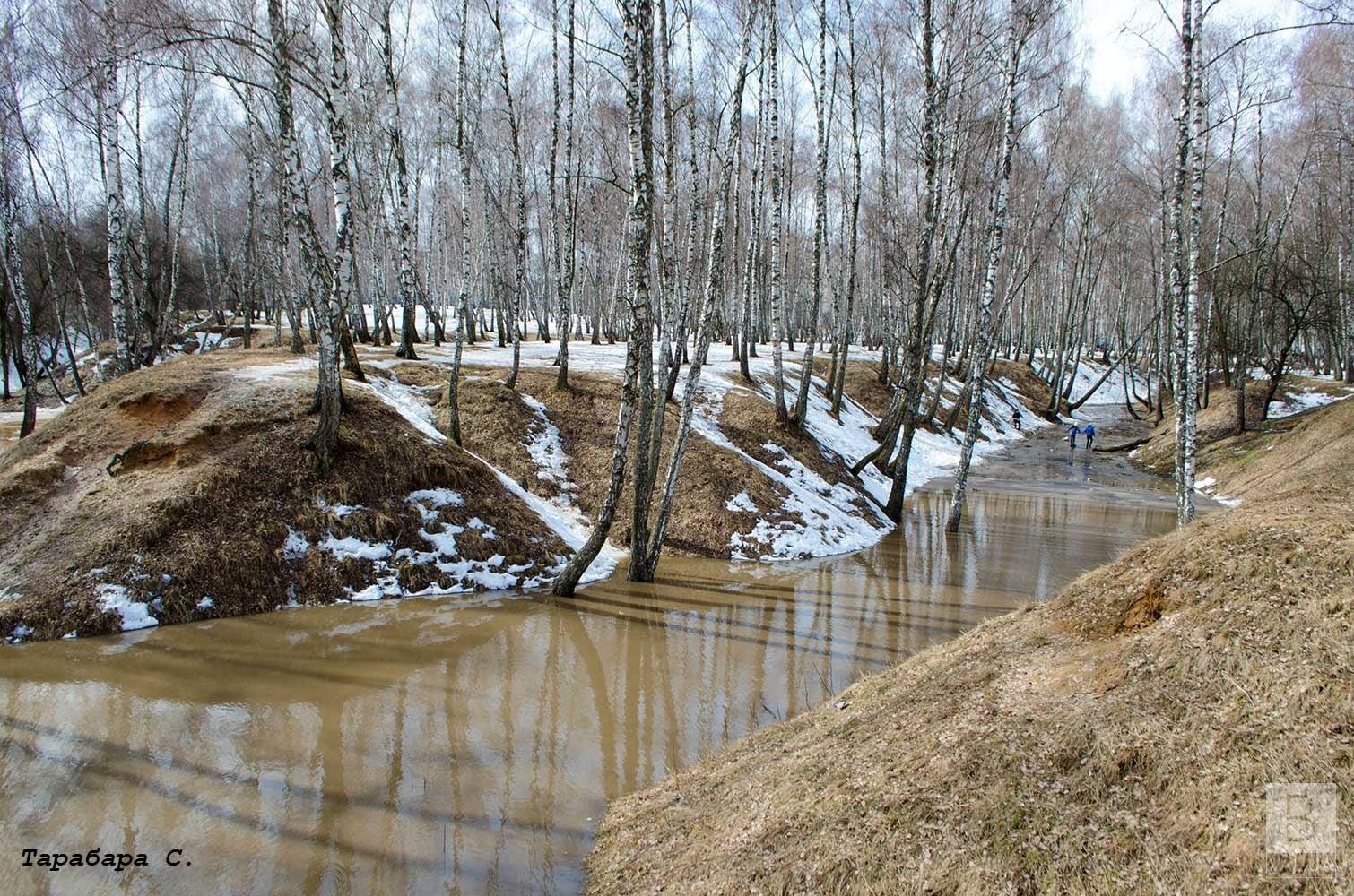На Чернігівщині подібним за температурним режимом березень був у 1977, 1979 та 2001 роках