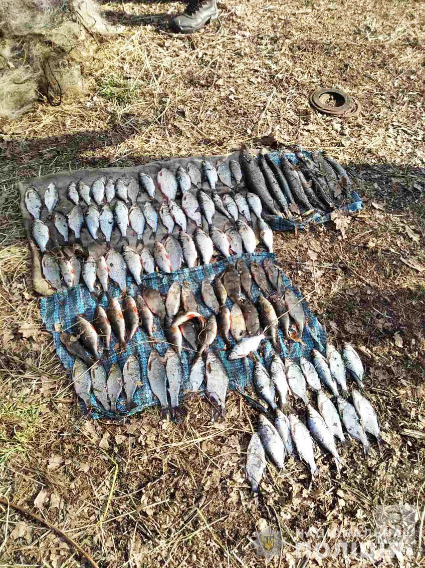 На Менщині браконьєри сітками наловили більше 100 рибин. ФОТО