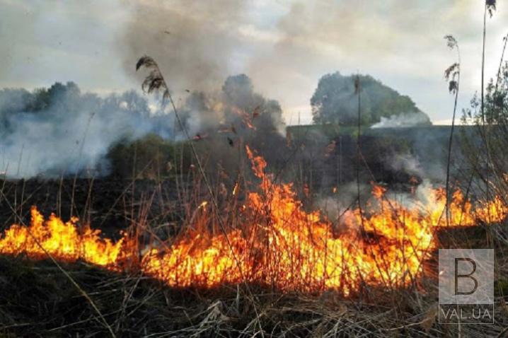 На Чернігівщині чоловік помер внаслідок пожежі сухої трави