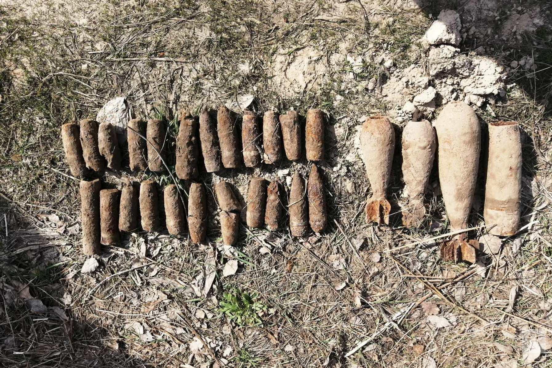 27 боєприпасів знайшли біля села Левковичі. ФОТО