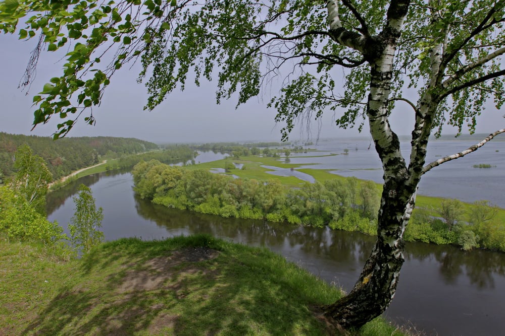 Прохолодна погода та значні дощі: синоптики про травень на Чернігівщині