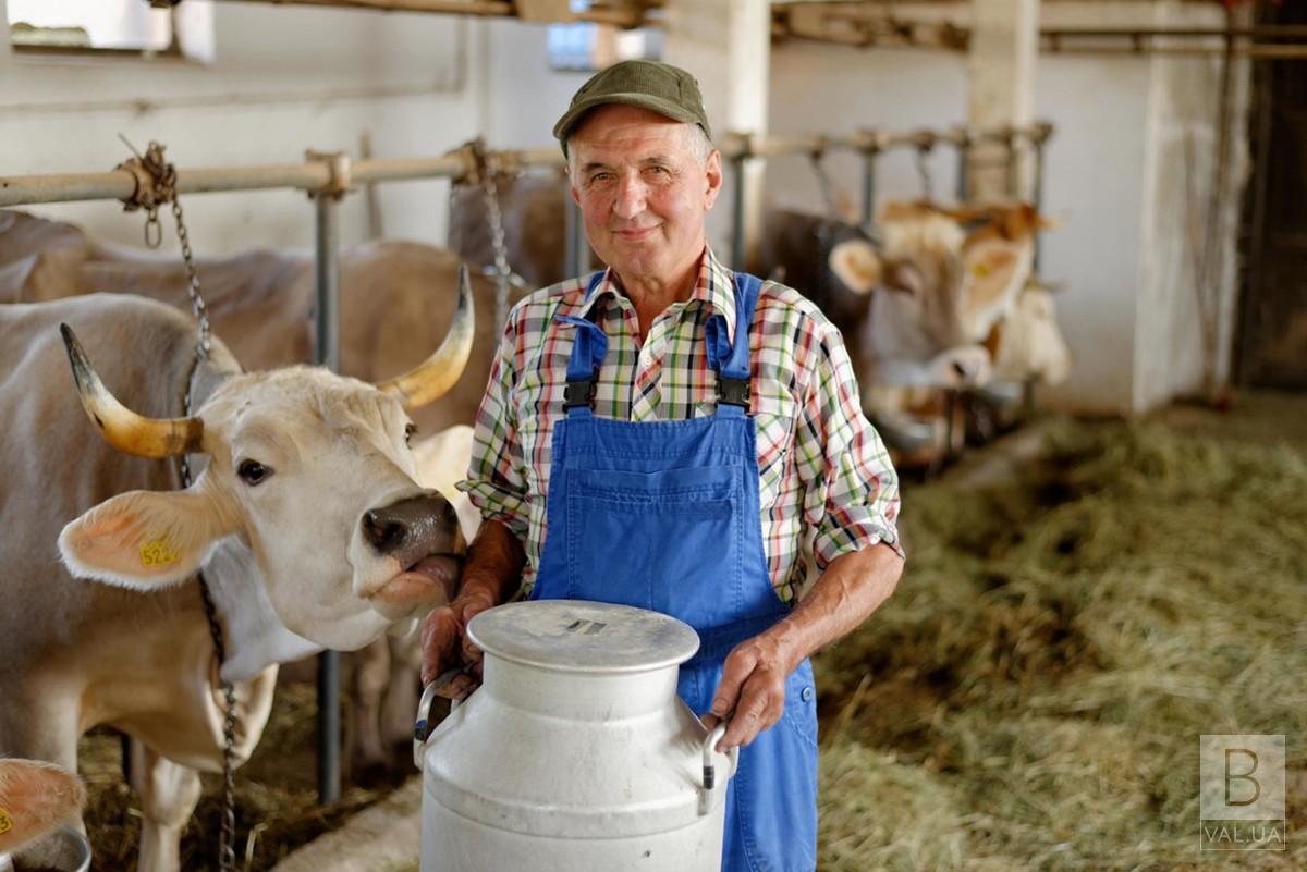 У Куликівці запускають проект зі створення сімейних молочних ферм