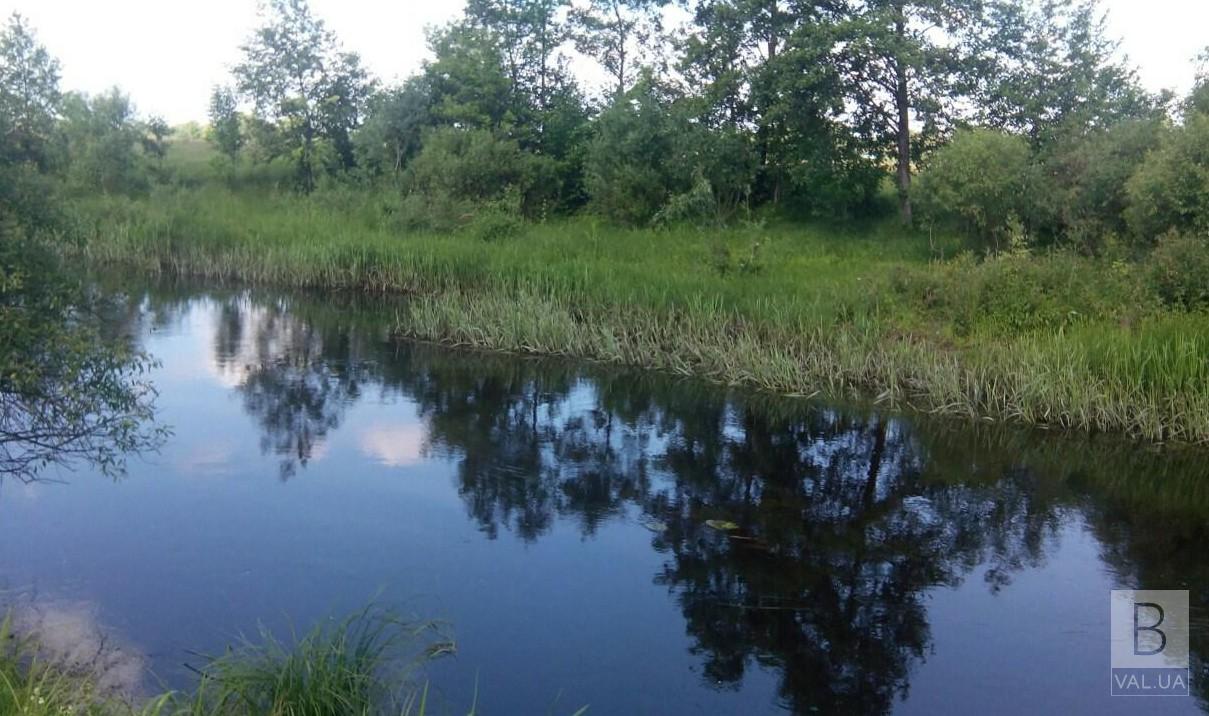 На Чернігівщині вода забрала життя ще двох людей