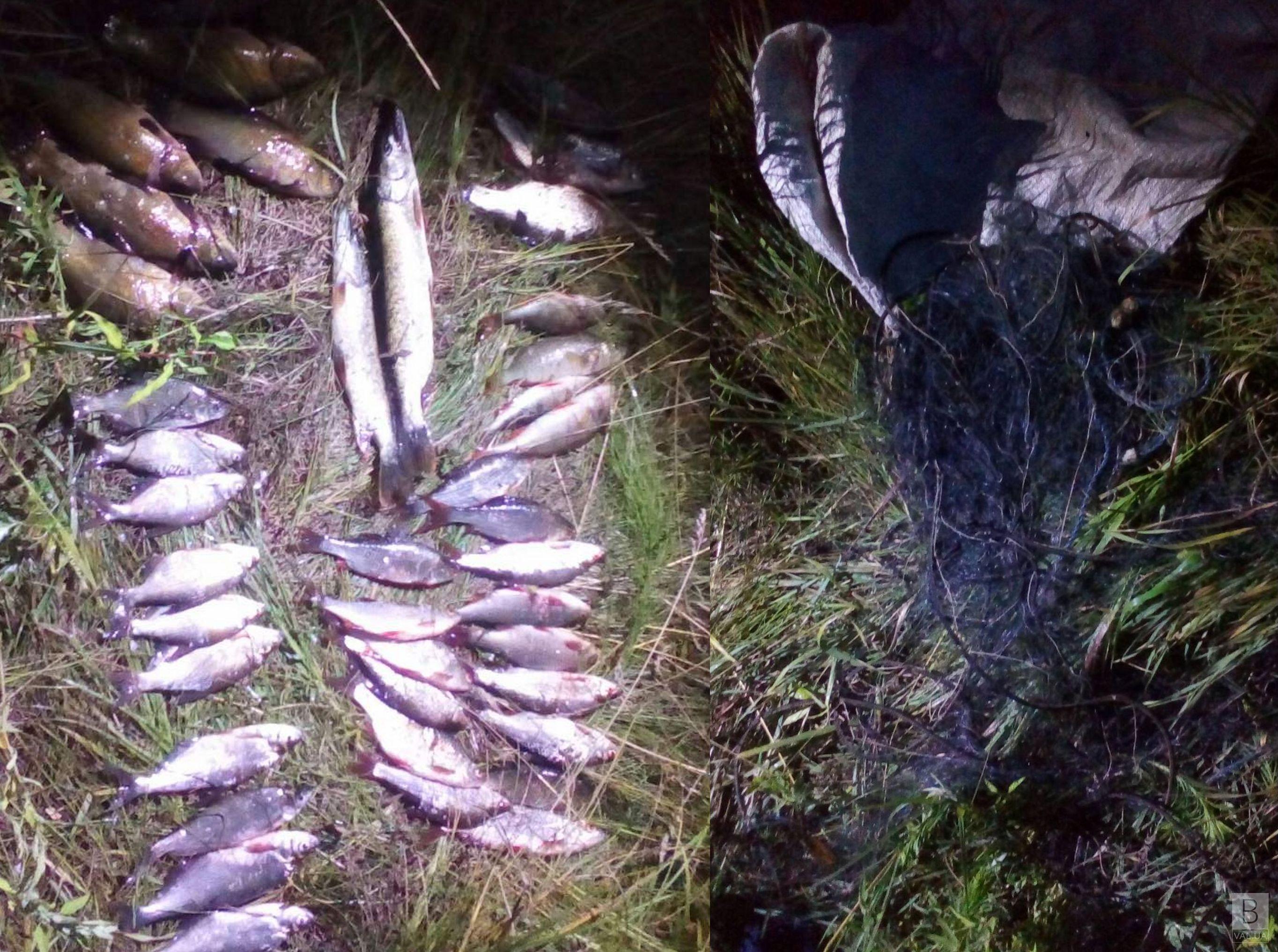 На Чернігівщині викрили браконьєра з 7 кг незаконно виловленої риби