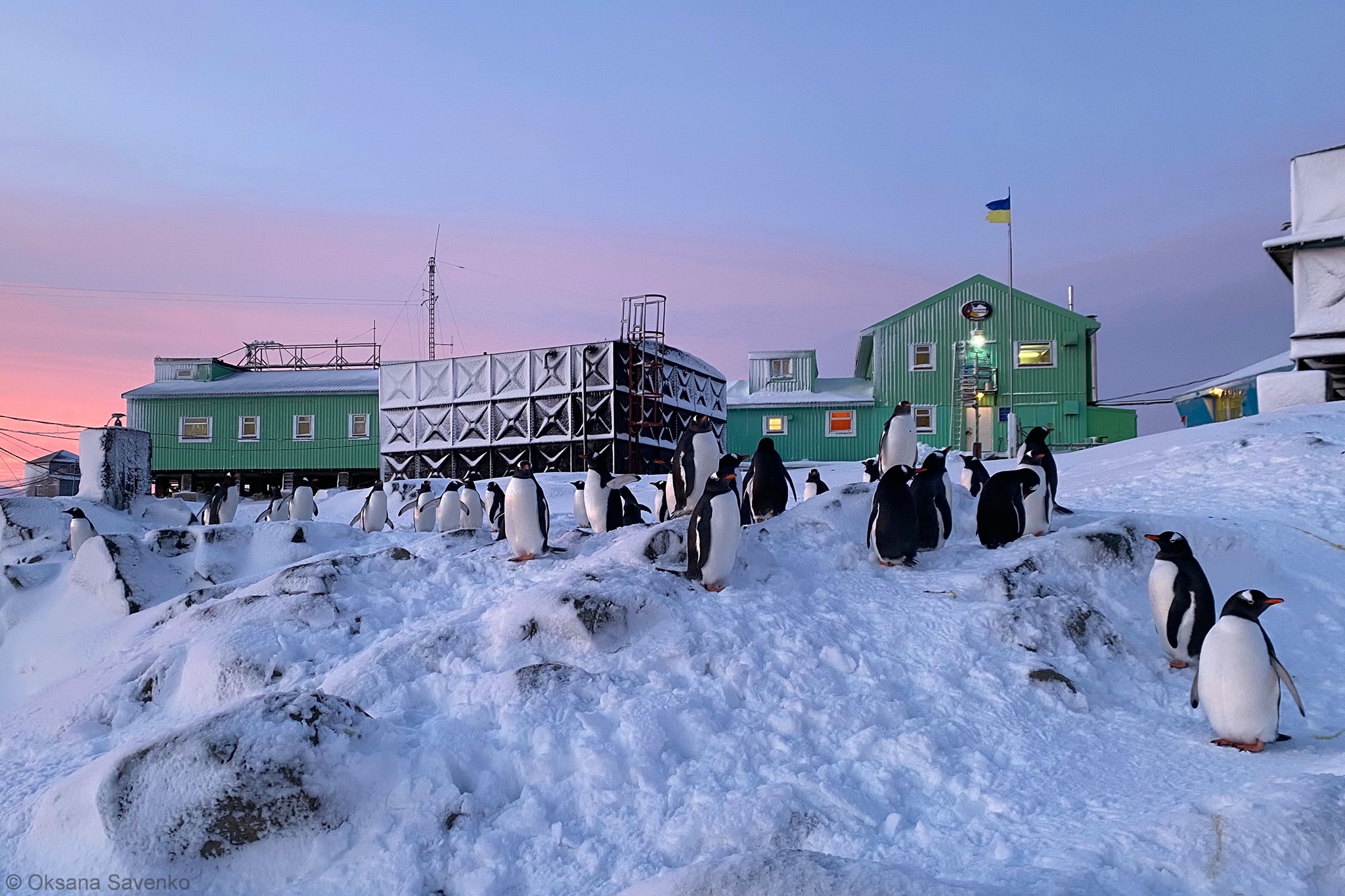 Україна шукає полярників для нової антарктичної експедиції, зарплата – понад 50 тисяч гривень
