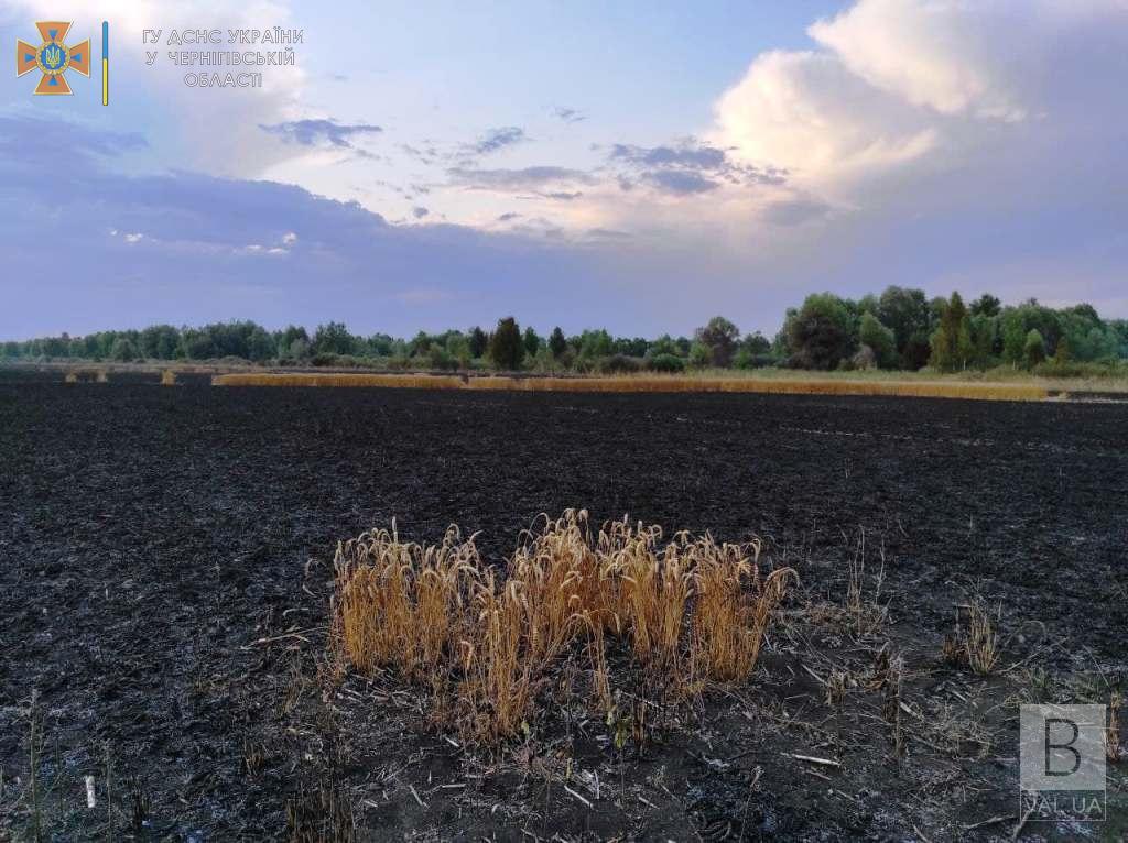 На Чернігівщині згоріло 55 гектарів пшеничного поля та 10 – сухої рослинності та чагарників