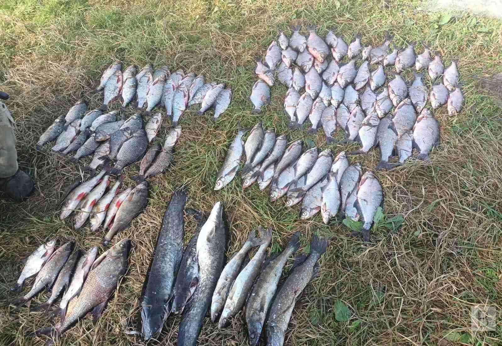 Браконьєри з Куликівки наловили 32 кг риби на понад 9 тисяч гривень. ФОТО