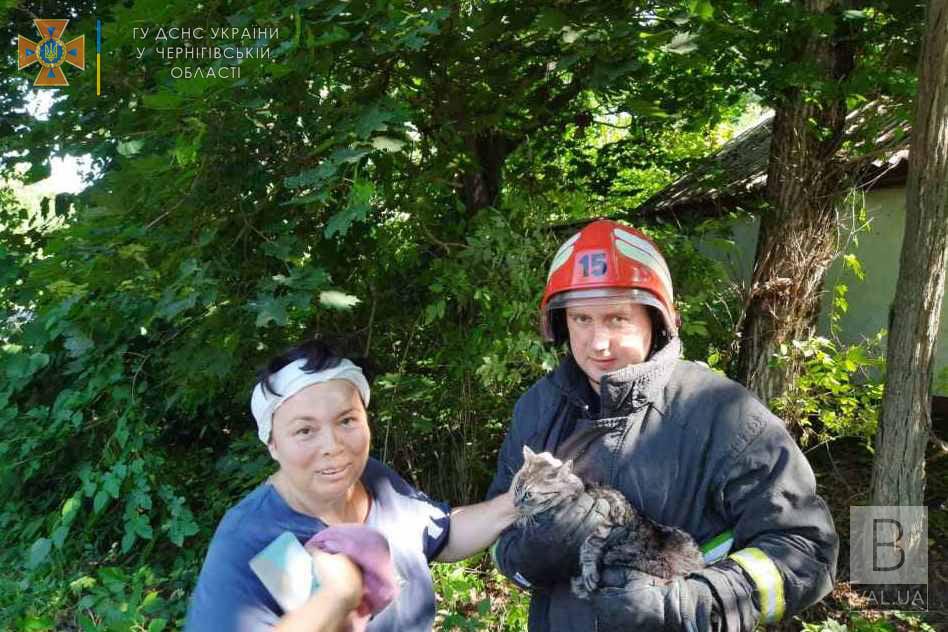 Врятували пухнастика: на Чернігівщині рятувальники дістали кота з дерева. ФОТО