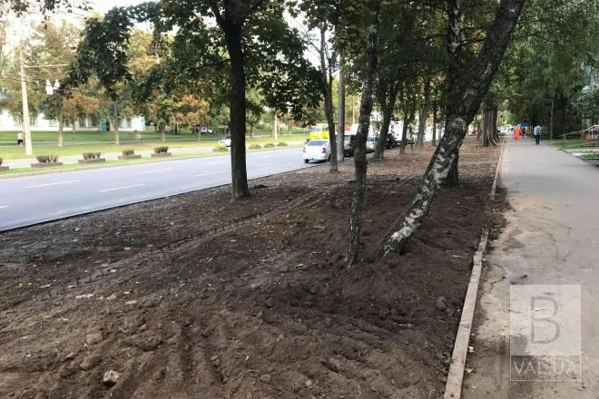 На зелених зонах уздовж вулиці Рокоссовського висадять газон та дерева. ФОТО