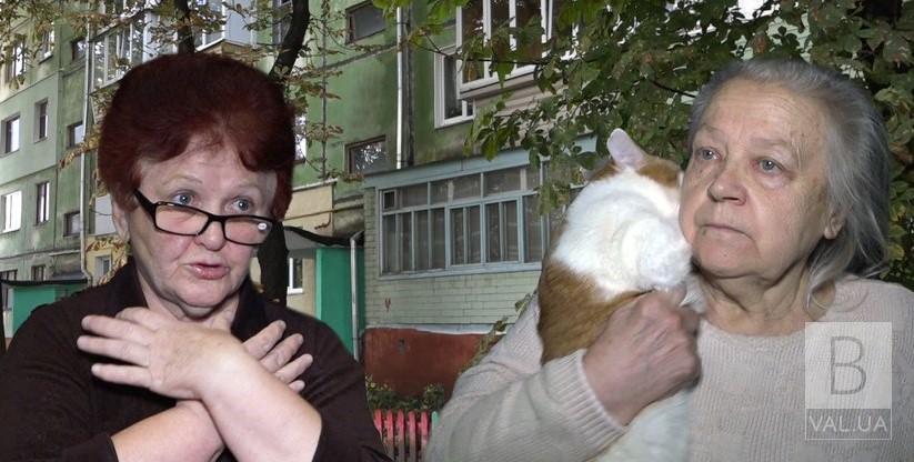 Затопило котячою сечею. Чернігівка подала до суду на сусідку та вимагає 25 тисяч гривень. ФОТО