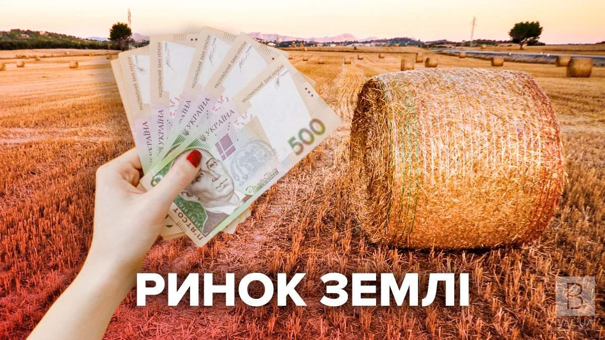 100 днів ринку землі: на Чернігівщині масового скуповування не відбулося
