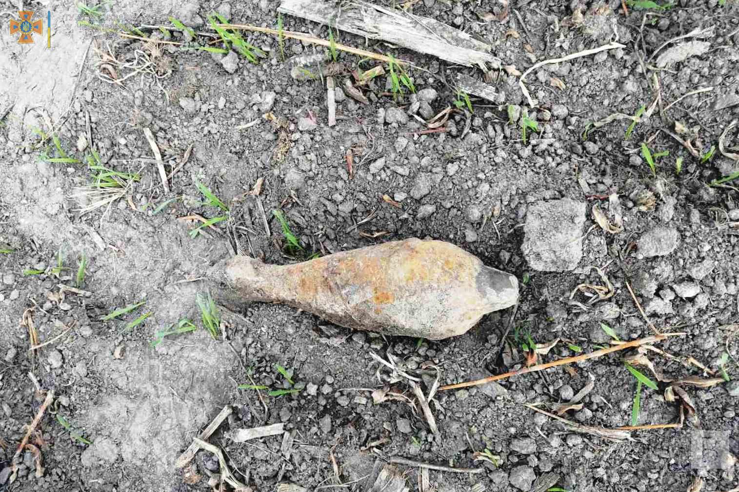 На Чернігівщині «чорні археологи» у полі знайшли мінометну міну часів Другої світової війни. ФОТО