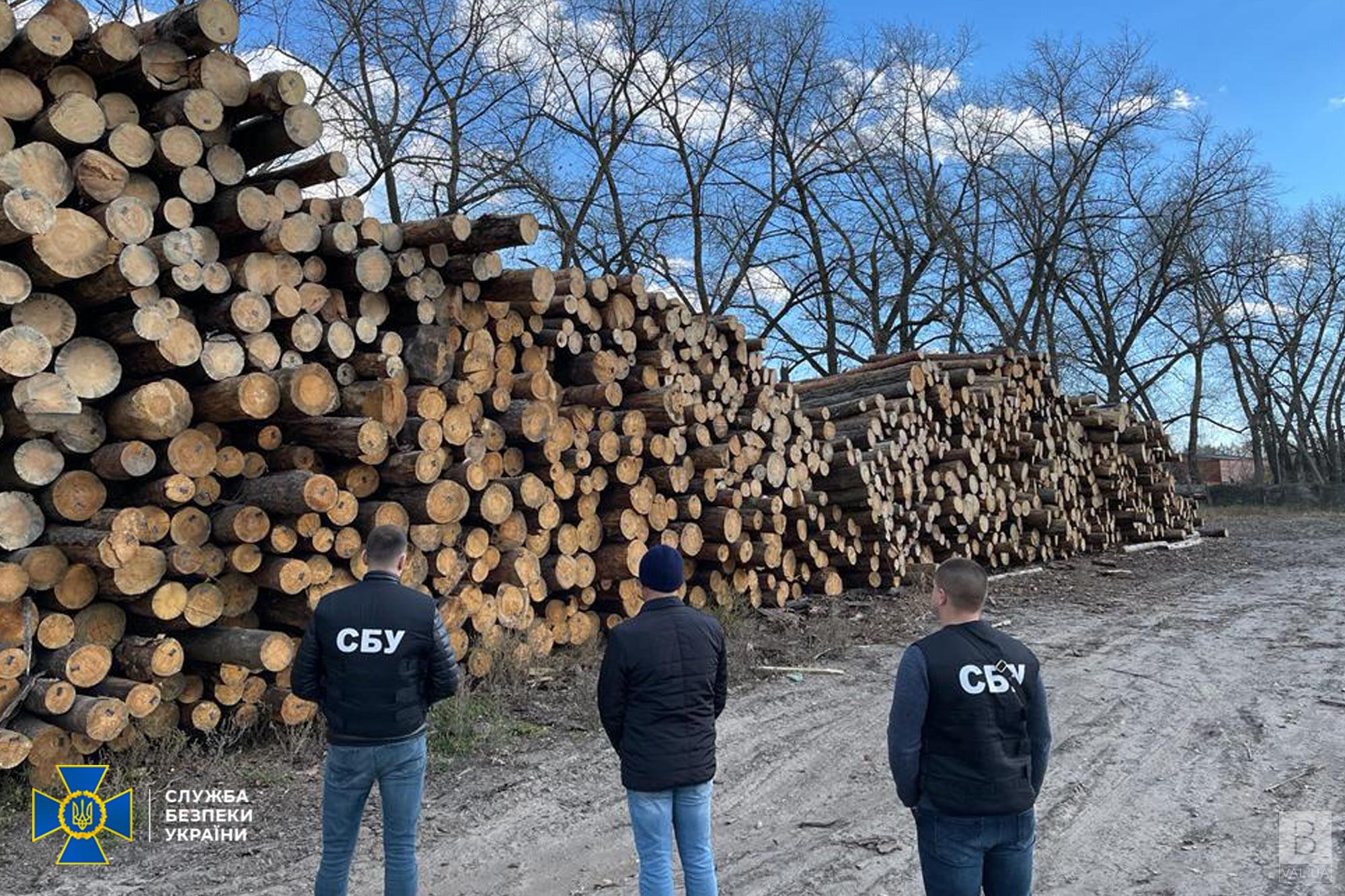 Списували якісну деревину, аби продати на експорт – на Чернігівщині викрили чиновників лісгоспу. ФОТО