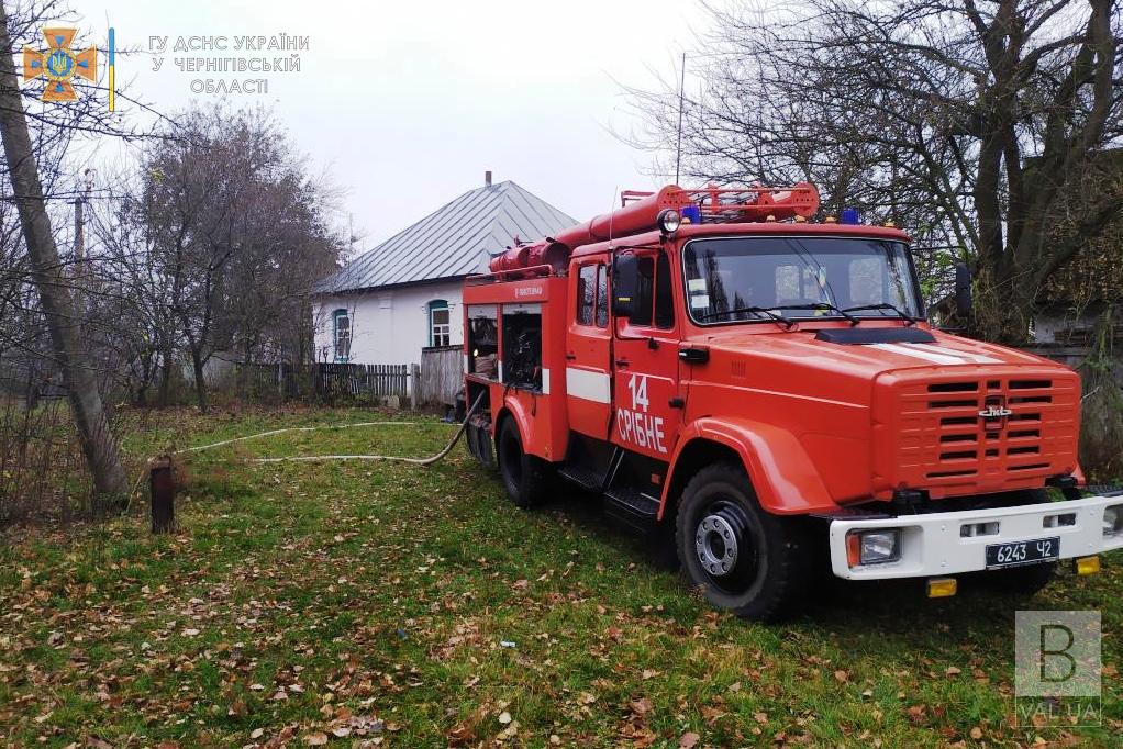 Врятували матір, доньку не встигли: на Чернігівщині під час пожежі загинула 48-річна жінка. ФОТО