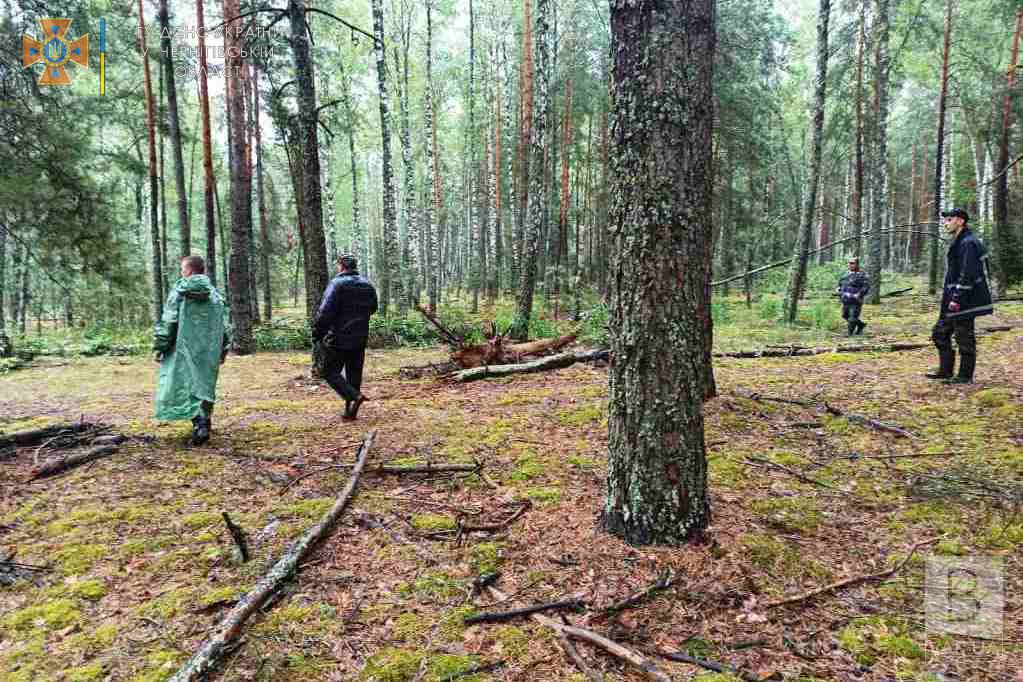 За 7 км від рідного села: на Чернігівщині 85-річну жінку, яка блукала добу, знайшли
